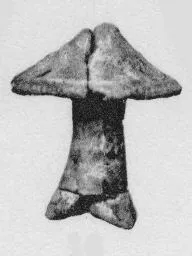 LID (VILLA NOVA)