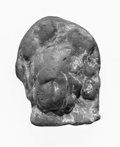 Female Head