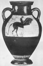 AMPHORA, BELLY, TYPE B (ATHENIAN, BLACK-FIGURE)