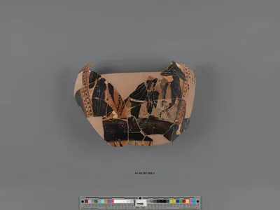 Attic Black-Figure Column Krater Fragment (comprised of 27 Joined Fragments)