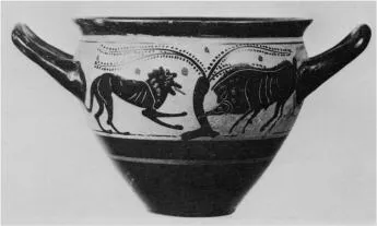 MASTOID, FRAGMENT (ATHENIAN, BLACK-FIGURE)