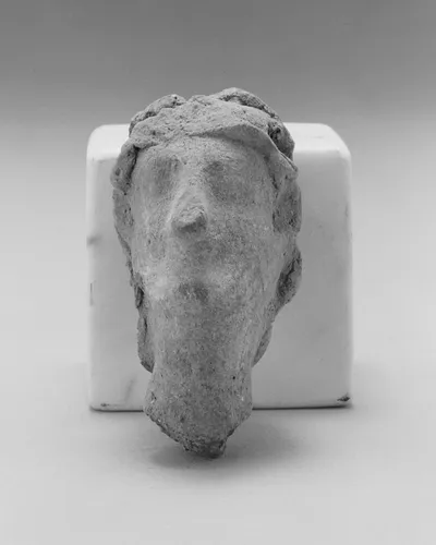 Male Head