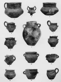 VARIOUS (OMOLJICA)