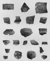VARIOUS (SARVAS)