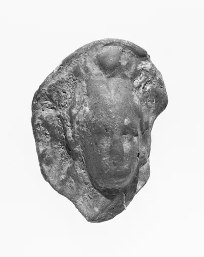 Female Head