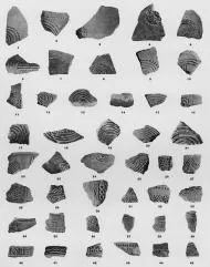VARIOUS (VUCEDOL)