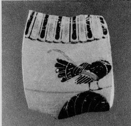 AMPHORA, NECK, FRAGMENTS (ATHENIAN, BLACK-FIGURE)