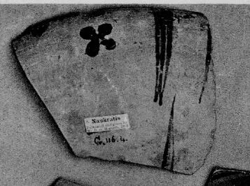 CUP, FRAGMENT (EAST GREEK)