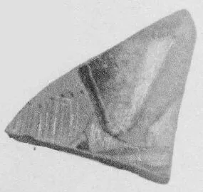 CUP, FRAGMENT (ATHENIAN, RED-FIGURE)