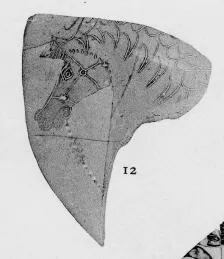 FRAGMENT (EAST GREEK, CLAZOMENIAN, BLACK-FIGURE)