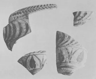AMPHORA, BELLY, FRAGMENTS (EAST GREEK, FIKELLURA, SILHOUETTE)