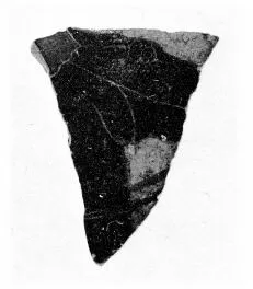 KRATER, COLUMN, FRAGMENT (ATHENIAN, BLACK-FIGURE)