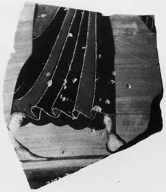 KRATER, COLUMN, FRAGMENT (ATHENIAN, BLACK-FIGURE)