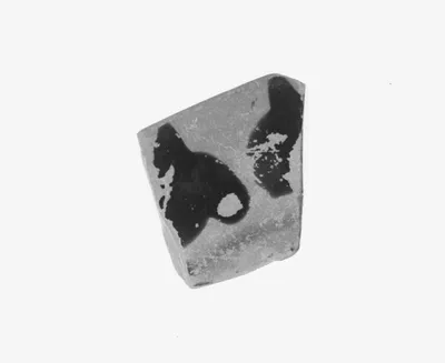 Attic Black-Figure Cup Fragment