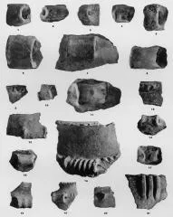 VARIOUS (VUCEDOL)