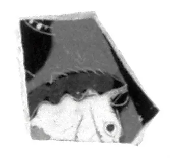 Attic Black-Figure Band Cup Fragment