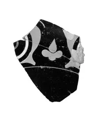 CUP, FRAGMENT (ATHENIAN, RED-FIGURE)