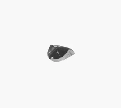Attic Black-Figure Vase Fragment