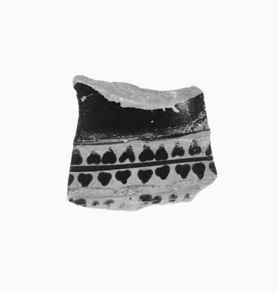 Attic Black-Figure Olpe Fragment