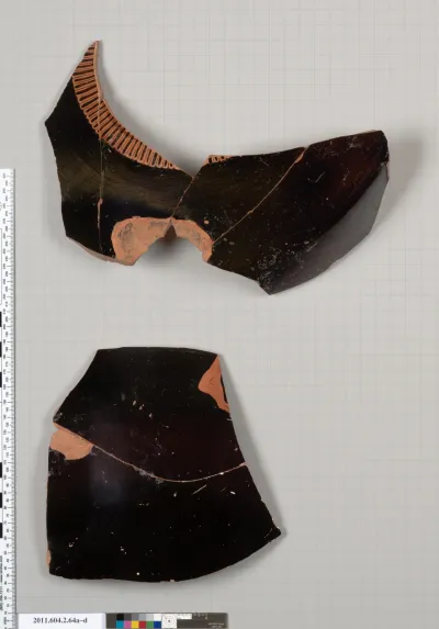 Terracotta fragments of an amphora (jar)