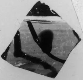 CUP, FRAGMENTS (ATHENIAN, BLACK-FIGURE)
