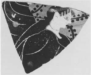 PELIKE, FRAGMENT (ATHENIAN, BLACK-FIGURE)