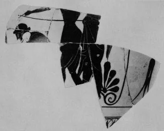 AMPHORA, NECK, FRAGMENTS (ATHENIAN, BLACK-FIGURE)