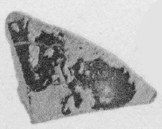 KRATER, CALYX, FRAGMENT (ATHENIAN, RED-FIGURE)