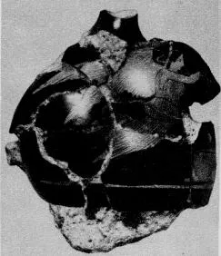 LEKYTHOS, SQUAT, FRAGMENT (ATHENIAN, RED-FIGURE)