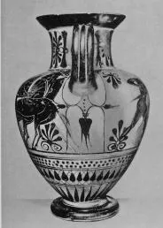 AMPHORA, NECK (ATHENIAN, BLACK-FIGURE)