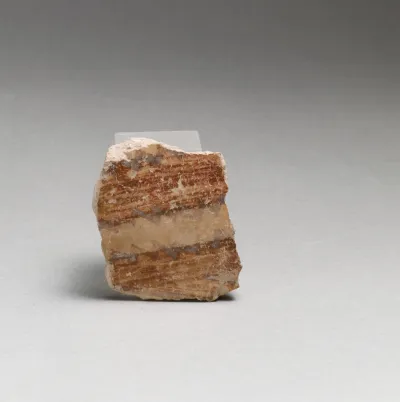 Terracotta vessel fragment