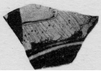 CUP, FRAGMENT (ATHENIAN, RED-FIGURE)