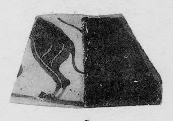HYDRIA, FRAGMENT (ATHENIAN, BLACK-FIGURE)