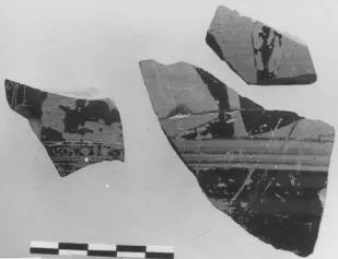 AMPHORA, BELLY, FRAGMENTS (ATHENIAN, BLACK-FIGURE)