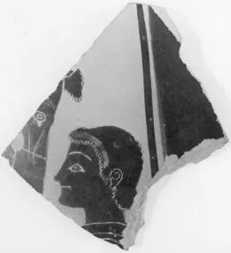 AMPHORA, BELLY, FRAGMENT (ATHENIAN, BLACK-FIGURE)