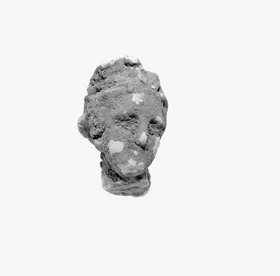 Head with Melon Coiffure