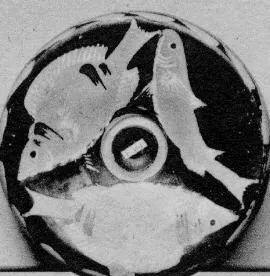 FISH PLATE (SOUTH ITALIAN, CAMPANIAN, RED-FIGURE)