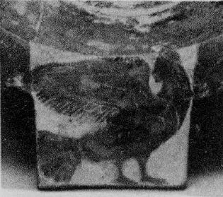 KRATER, COLUMN (CORINTHIAN, BLACK-FIGURE)