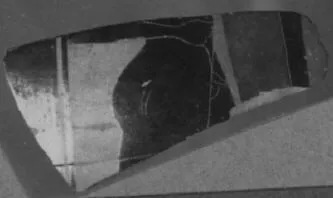 FRAGMENT (ATHENIAN, BLACK-FIGURE)