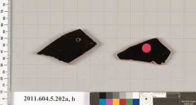 Terracotta fragments of kylikes (drinking cups)