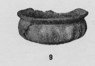 VARIOUS (ETRUSCAN, BUCCHERO)