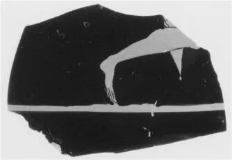 PSYKTER, FRAGMENT (ATHENIAN, RED-FIGURE)