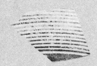 SKYPHOS, FRAGMENT (PROTOCORINTHIAN)
