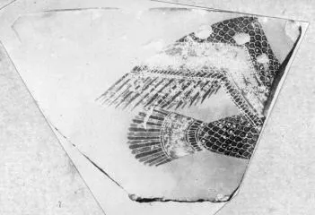 CUP, LITTLE MASTER LIP, FRAGMENT (ATHENIAN, BLACK-FIGURE)