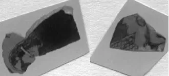 STAMNOS, FRAGMENTS (ATHENIAN, RED-FIGURE)