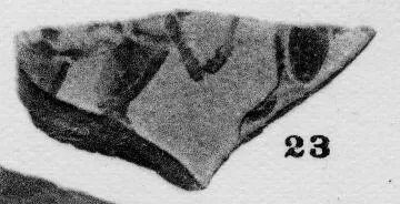CUP (?), FRAGMENT (ATHENIAN, BLACK-FIGURE)