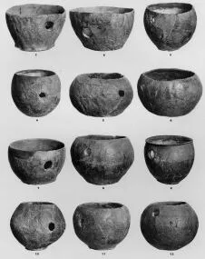 VARIOUS (VELIKA GORICA)