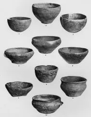 VARIOUS (DALJ)
