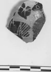 FRAGMENT (ATHENIAN, BLACK-FIGURE)