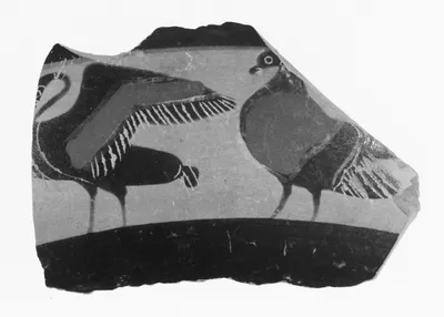 Attic Black-Figure Band Cup Fragment